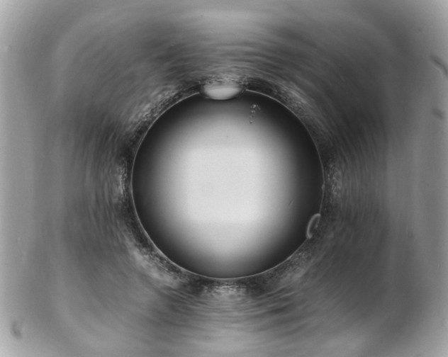 X0000103290546200808291335