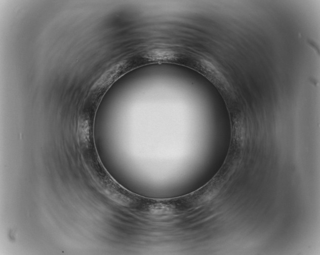X0000103290549200808291335