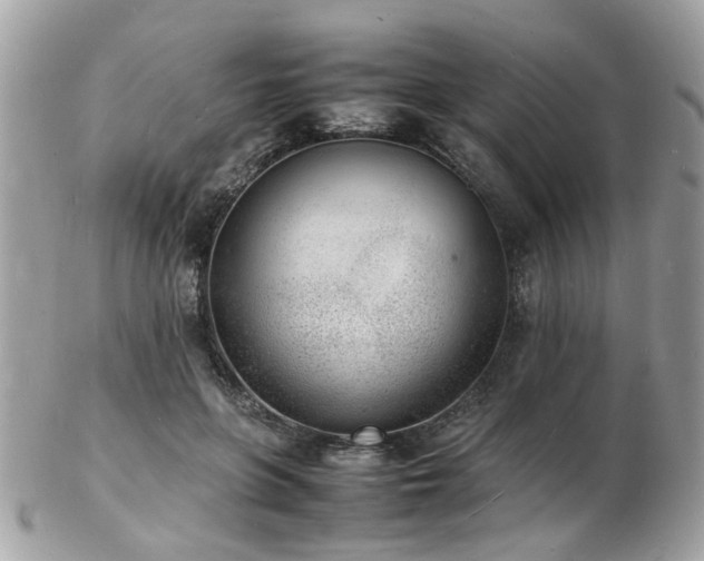 X0000103290551200808291335