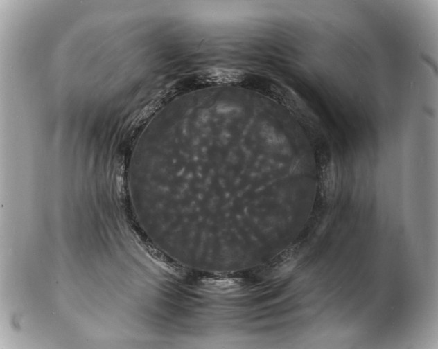 X0000103290553200808291335