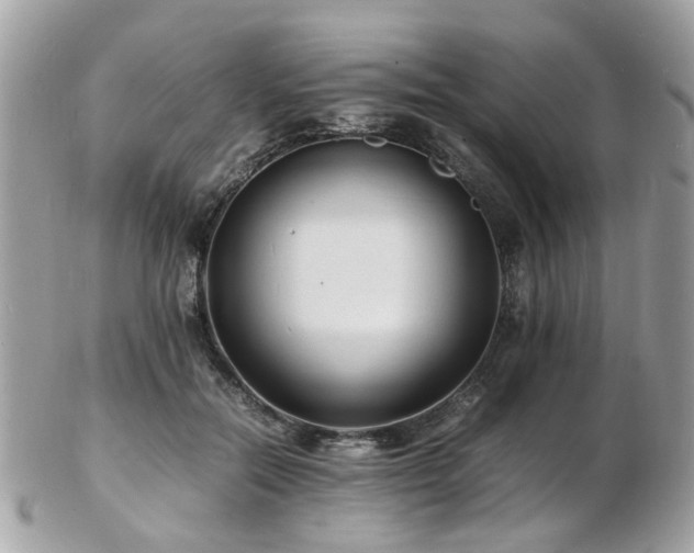 X0000103290554200808291335