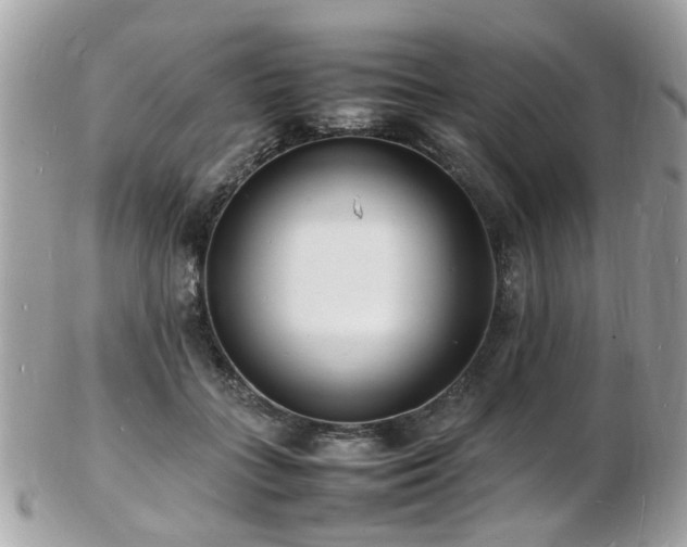 X0000103290555200808291335