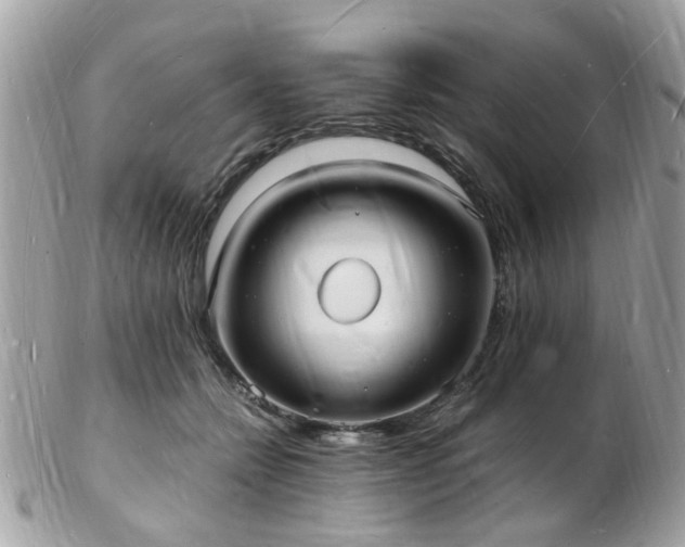 X0000103290558200808291335