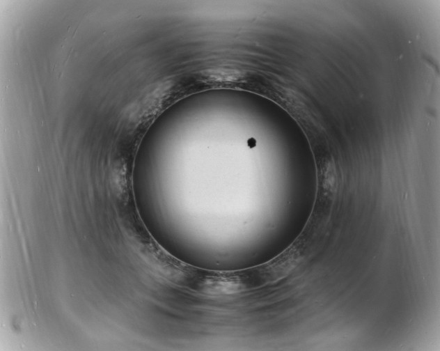 X0000103290559200808291335