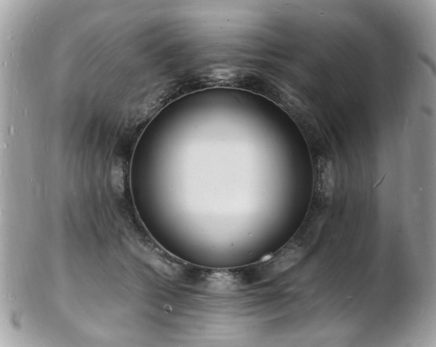 X0000103290562200808291336