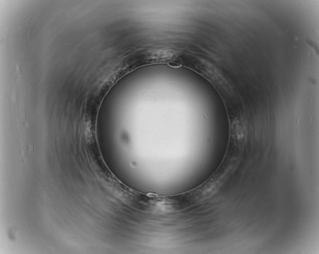 X0000103290564200808291336