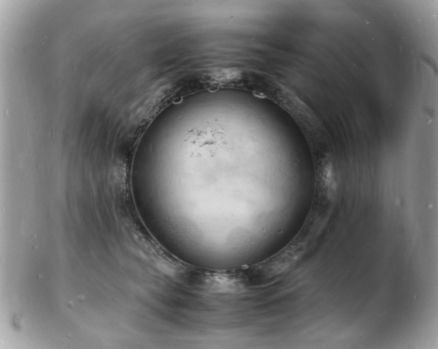 X0000103290565200808291336