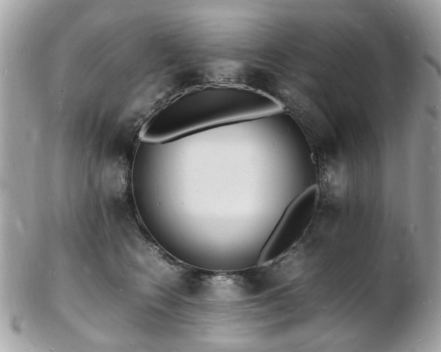 X0000103290566200808291336