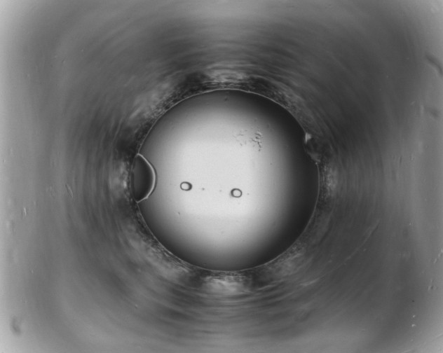 X0000103290567200808291336