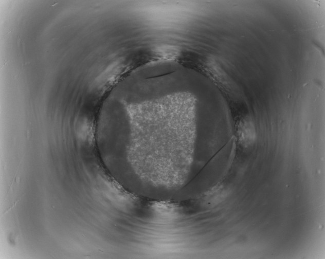 X0000103290568200808291336