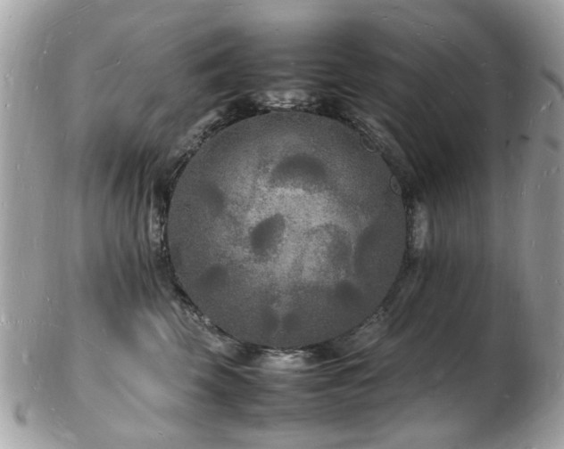 X0000103290569200808291336