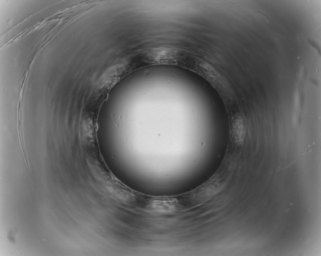 X0000103290571200808291336