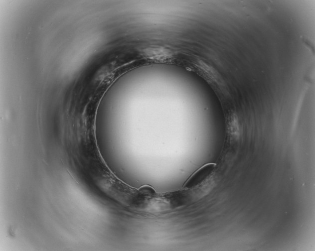 X0000103290572200808291336