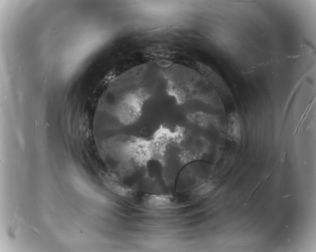 X0000103290573200808291336