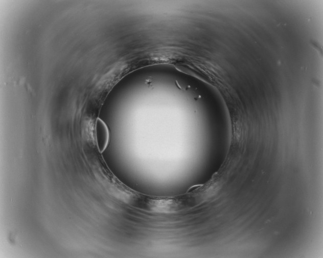 X0000103290575200808291336