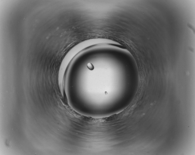 X0000103290576200808291336