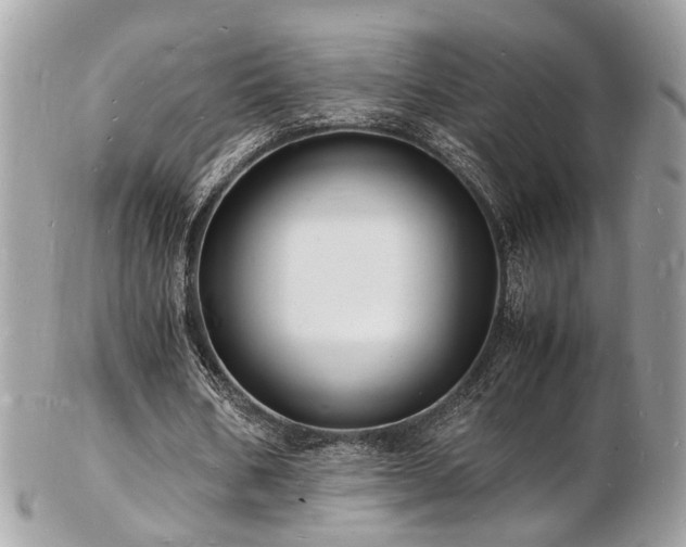 X0000103290578200808291335