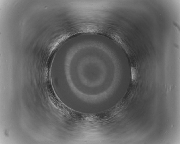 X0000103290579200808291335