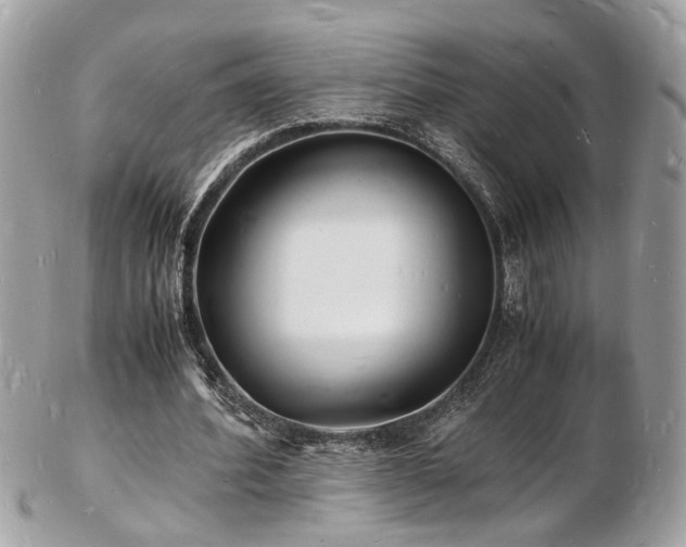 X0000103290580200808291335