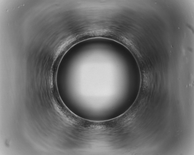 X0000103290582200808291335