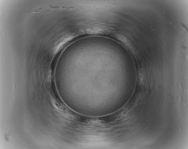 X0000103290583200808291335
