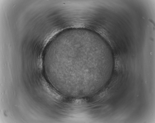 X0000103290584200808291335