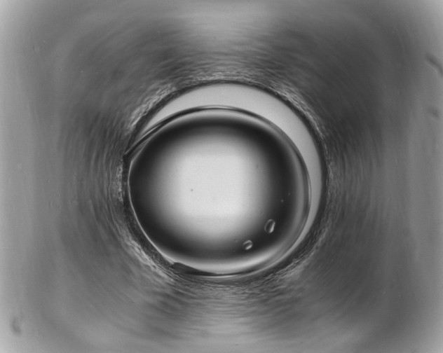 X0000103290585200808291335