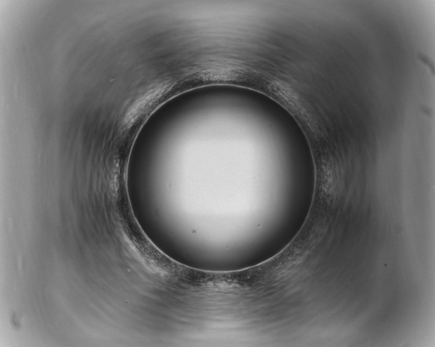X0000103290586200808291335