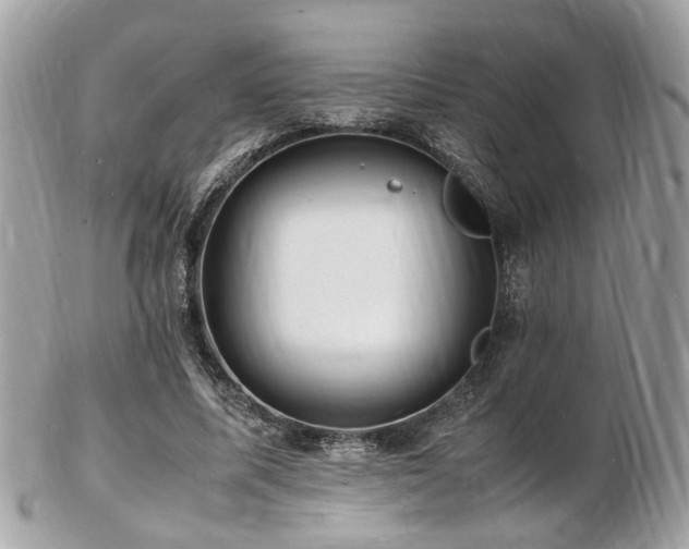 X0000103290587200808291335