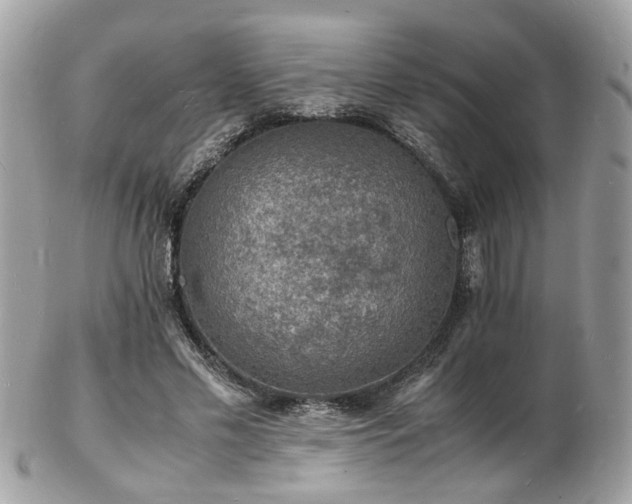 X0000103290589200808291335