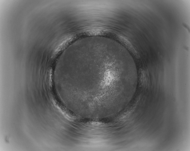 X0000103290590200808291335