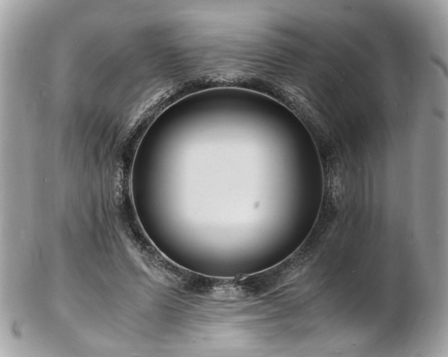 X0000103290591200808291335
