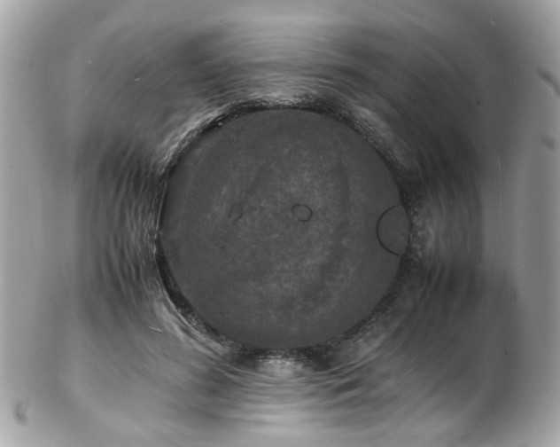 X0000103290596200808291335