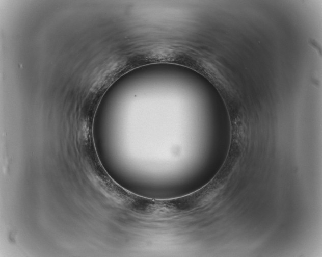 X0000103290597200808291335