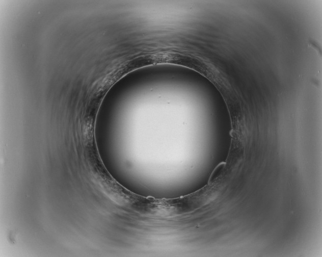 X0000103290601200808291335
