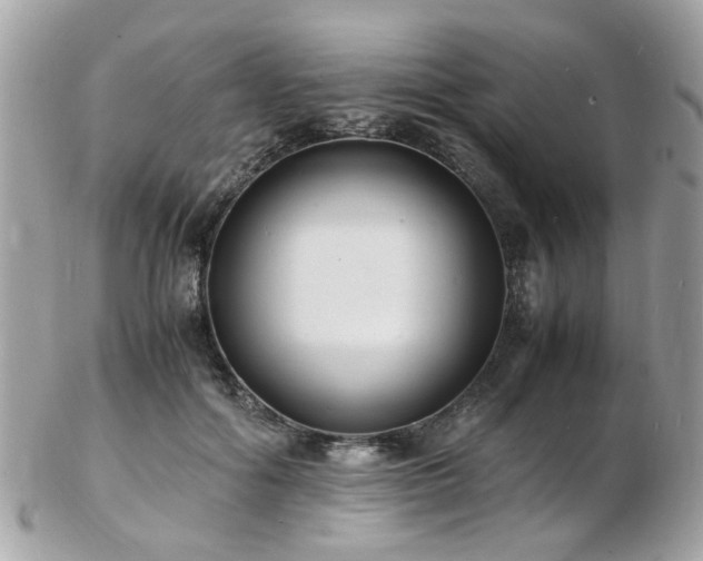 X0000103290602200808291335
