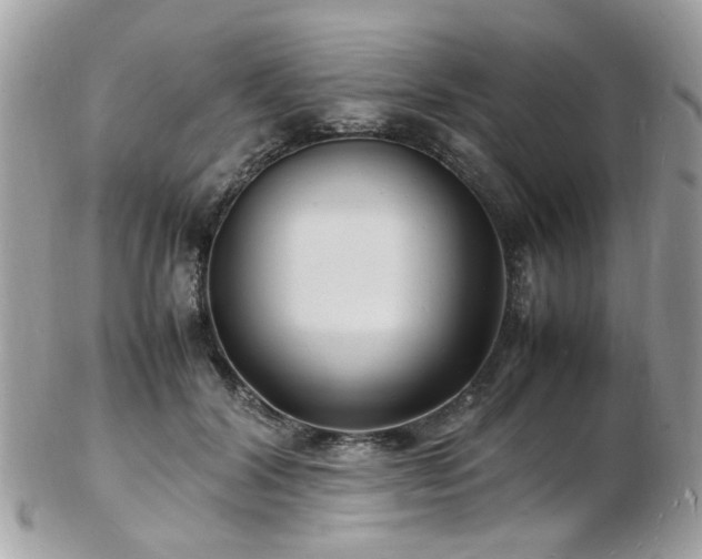 X0000103290604200808291335