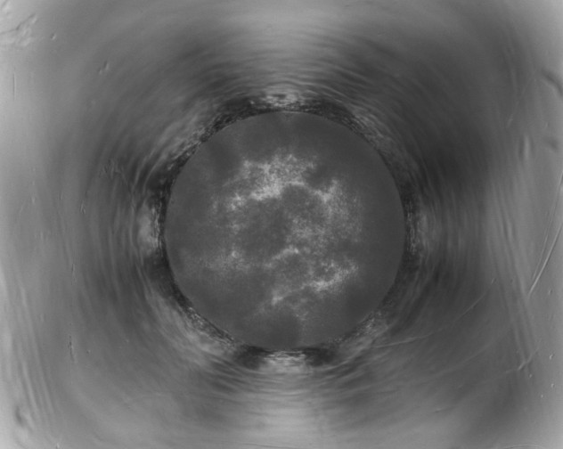 X0000103290606200808291335