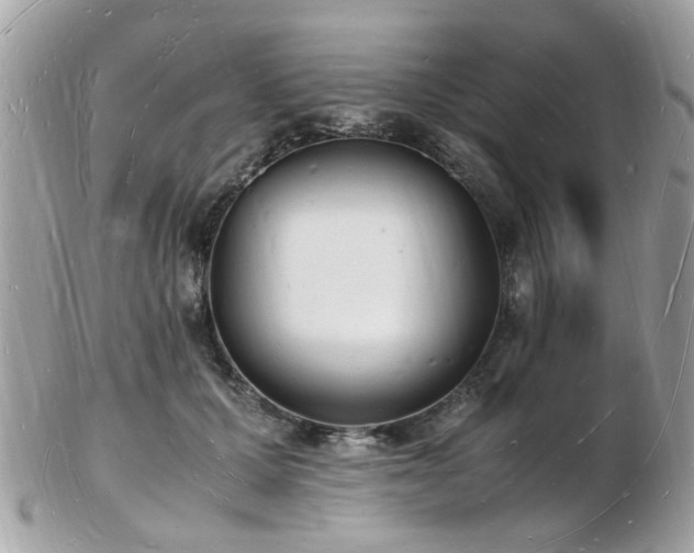 X0000103290607200808291335