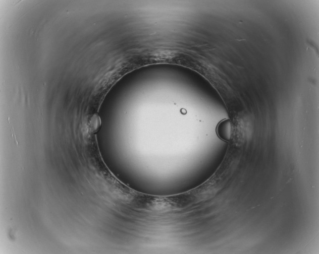 X0000103290608200808291335