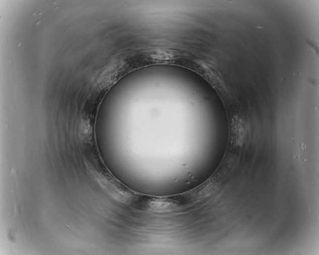 X0000103290614200808291335