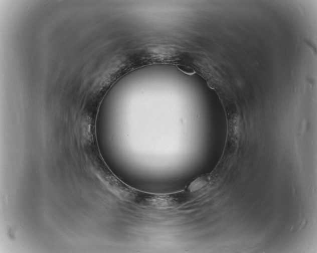 X0000103290615200808291335