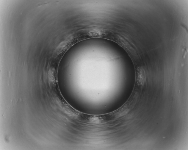 X0000103290616200808291335