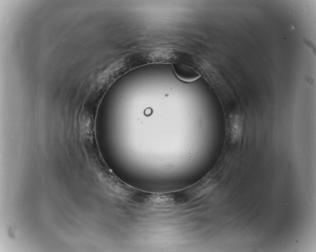 X0000103290619200808291334