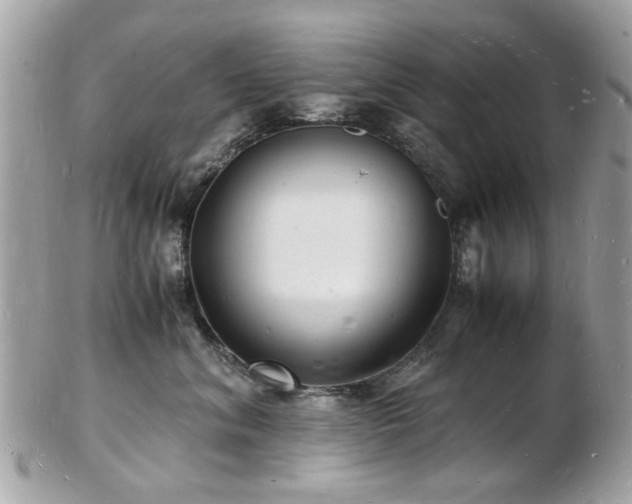 X0000103290620200808291334