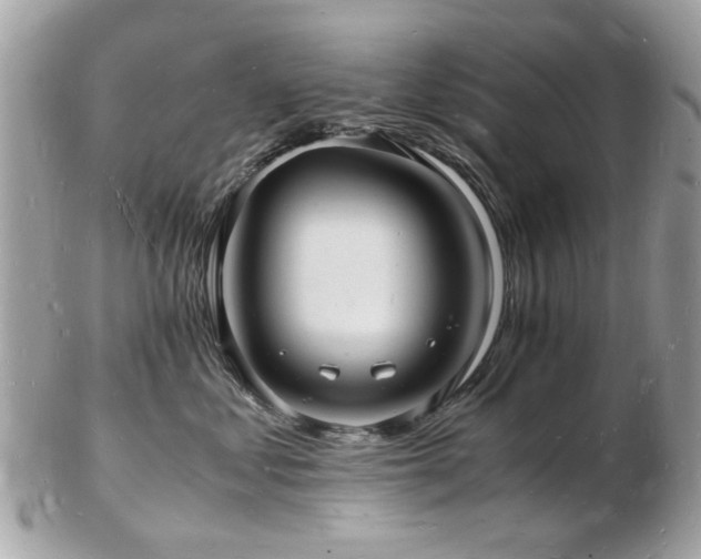 X0000103290621200808291334