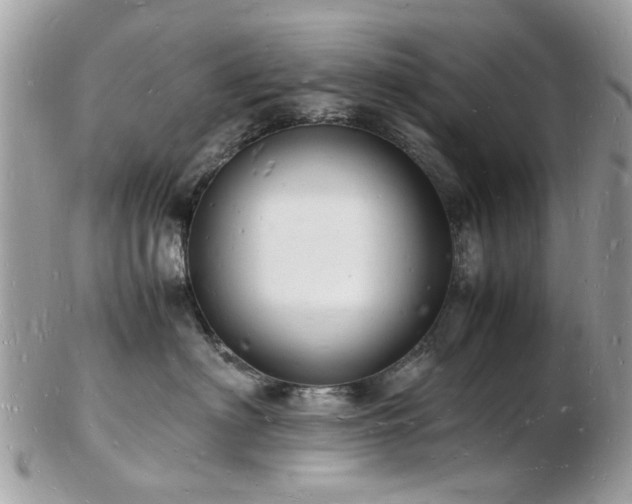 X0000103290622200808291334