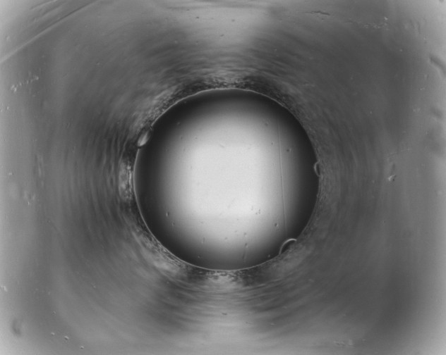 X0000103290624200808291334