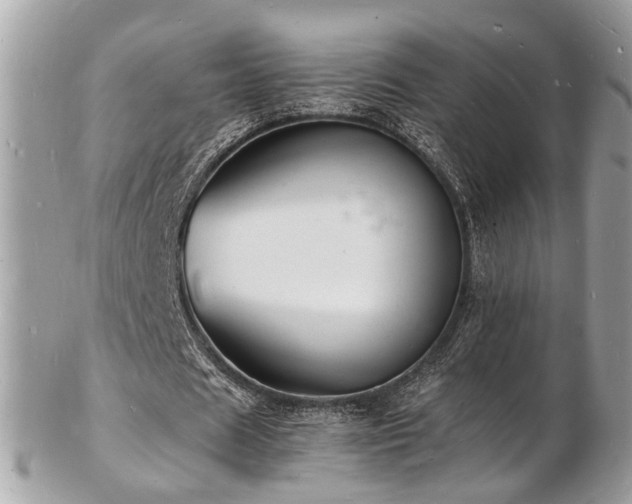 X0000103290625200808291334