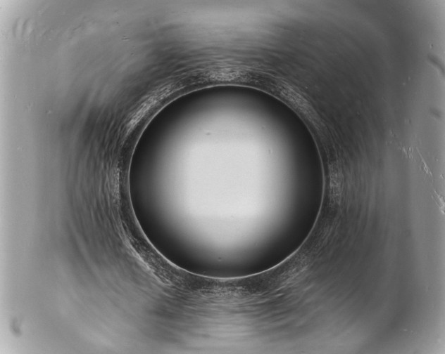 X0000103290626200808291334